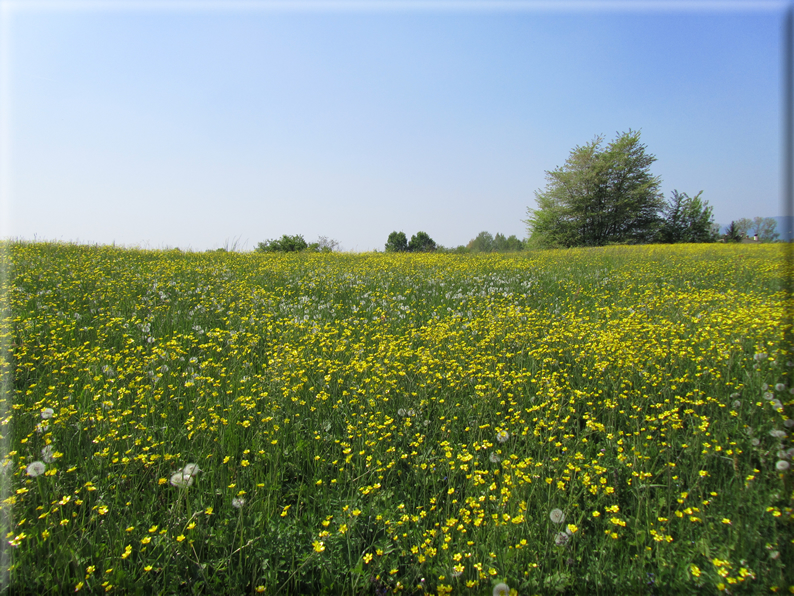 foto Paesaggi Collinari in Primavera